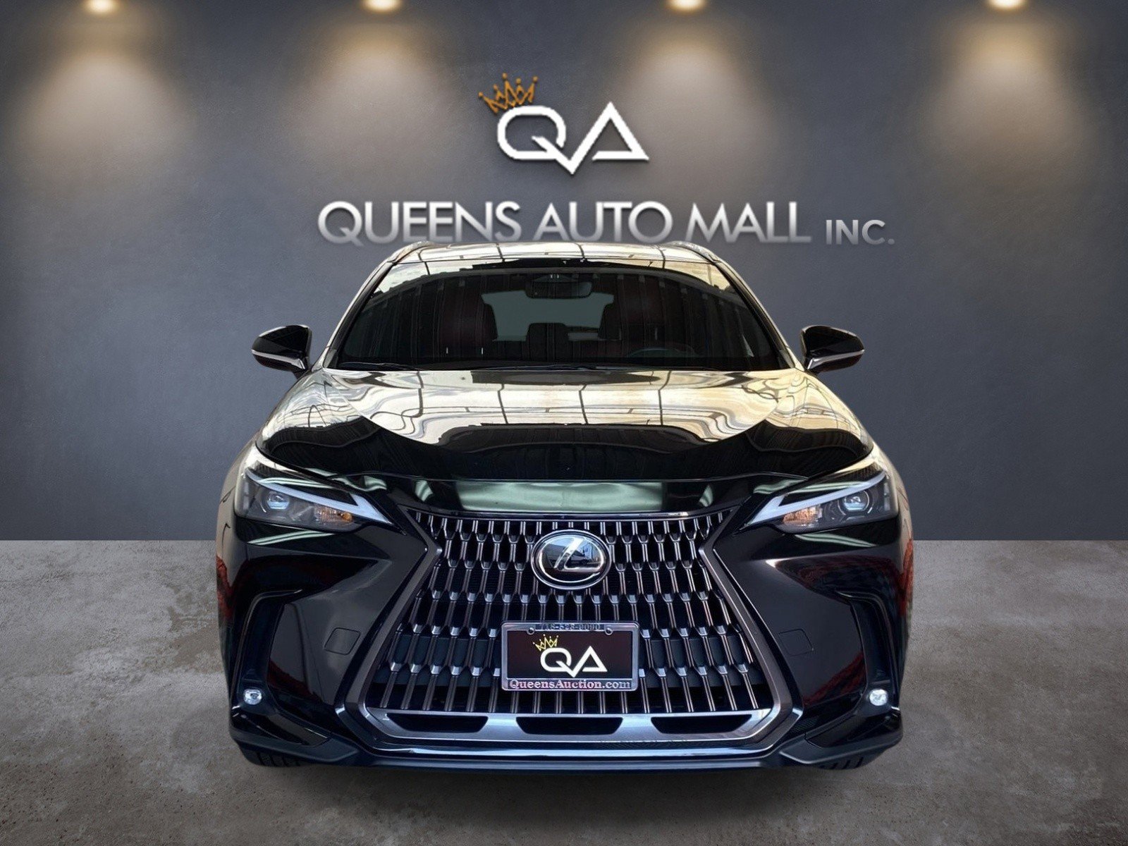Used 2024 Lexus NX 350 AWD w/ Cold Area Package image 2