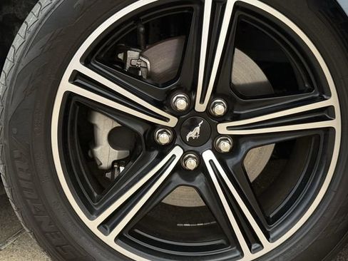 Used 2025 Ford Mustang Premium image 8