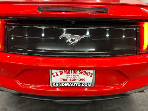 Used 2023 Ford Mustang Premium image 12