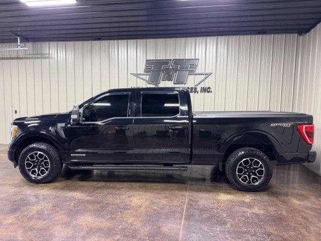Used 2022 Ford F150 XLT w/ Equipment Group 302A High AWD/4WD image 3