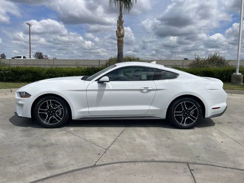 Used 2022 Ford Mustang Coupe w/ Equipment Group 101A RWD image 5