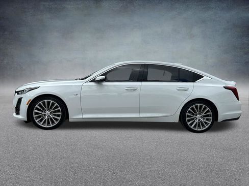 Used 2023 Cadillac CT5 Premium Luxury w/ Climate Package image 8