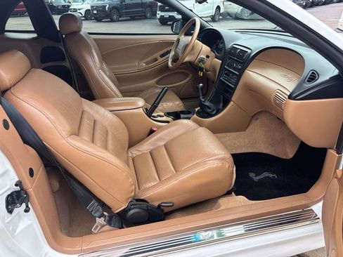 Used 1998 Ford Mustang Cobra image 15