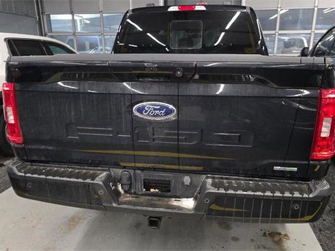 Used 2023 Ford F150 XLT w/ Equipment Group 302A High image 4
