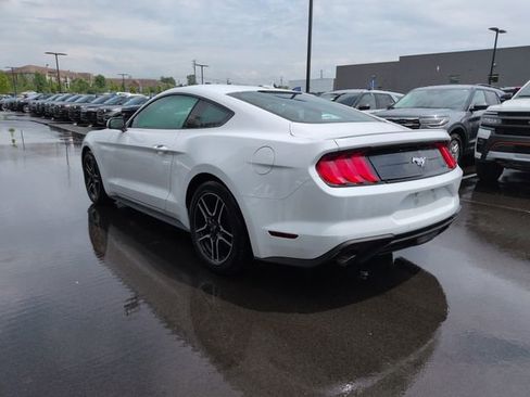 Used 2020 Ford Mustang Premium RWD image 3