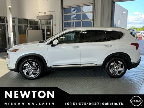 Used 2022 Hyundai Santa Fe SEL w/ Convenience + Premium Package FWD image 3