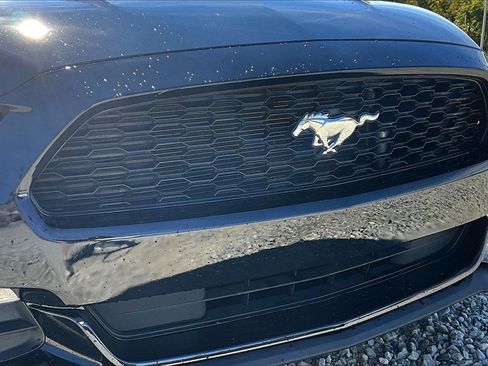 Used 2016 Ford Mustang Coupe image 17