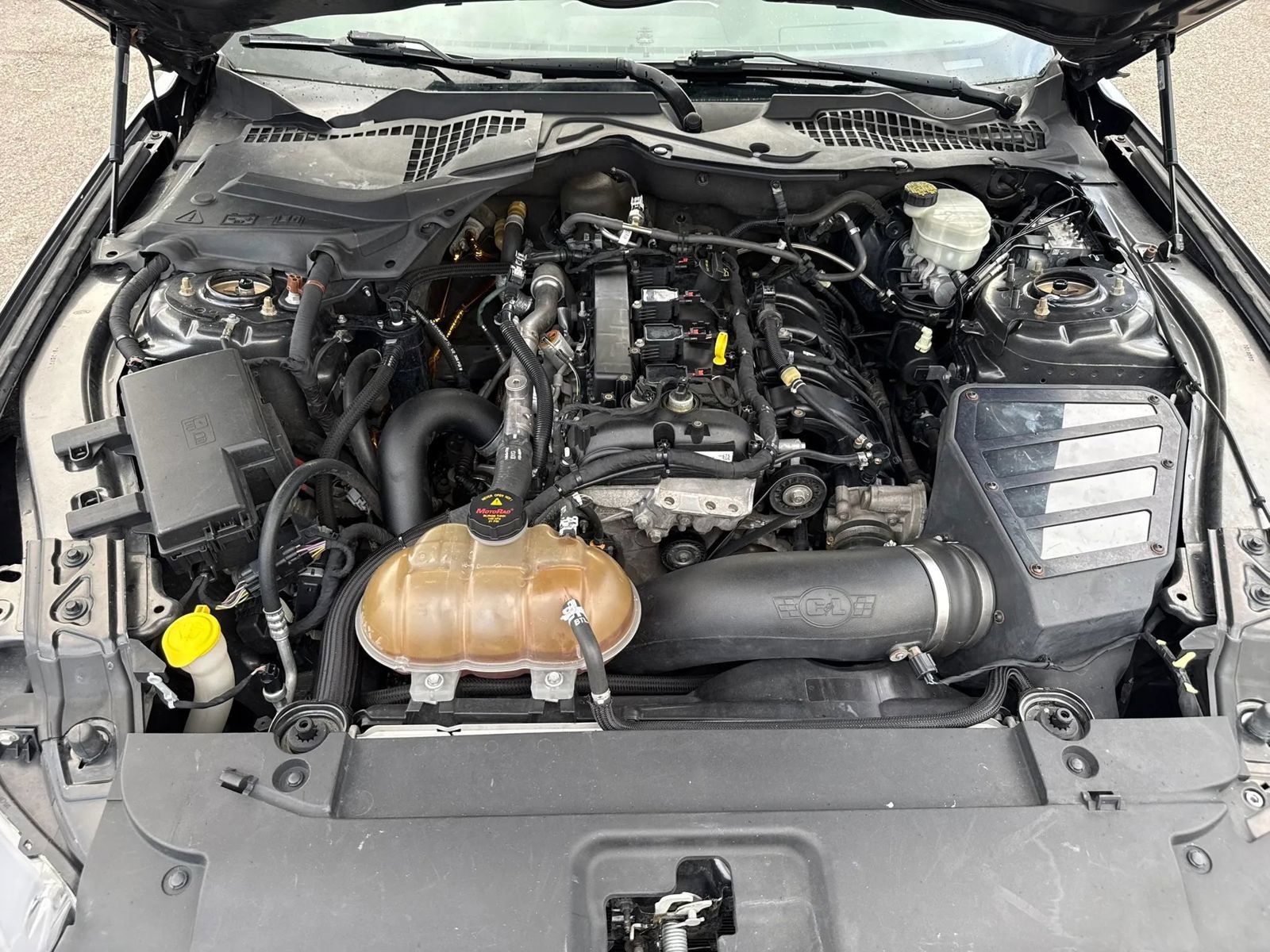 Used 2015 Ford Mustang Premium RWD image 13