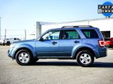 Used 2011 Ford Escape XLT image 3