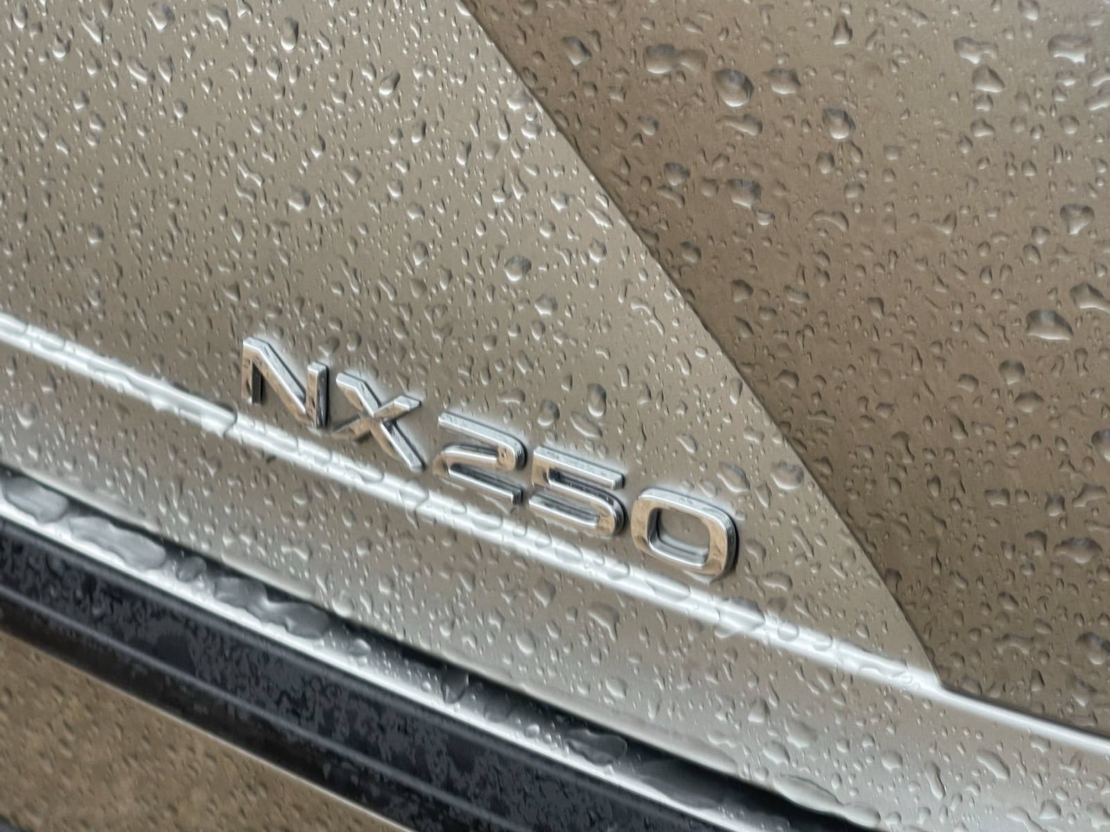 Used 2024 Lexus NX 250 FWD image 6