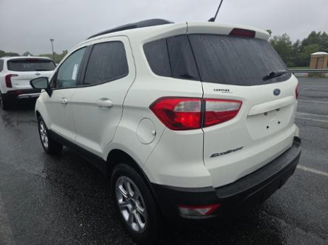 Used 2021 Ford EcoSport SE w/ SE Convenience Package AWD/4WD image 4