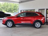 Used 2020 Ford Escape SE image 2
