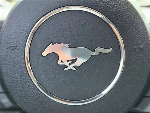 Used 2017 Ford Mustang GT Premium w/ Equipment Group 401A RWD image 15