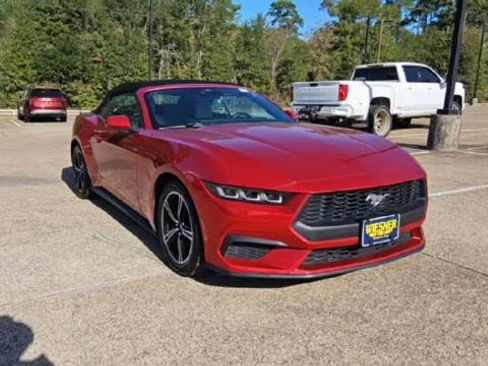 Used 2024 Ford Mustang Premium image 1