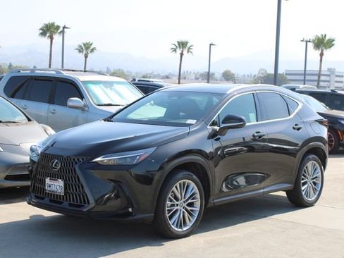 Certified 2025 Lexus NX 350h AWD w/ Cold Area Package image 3