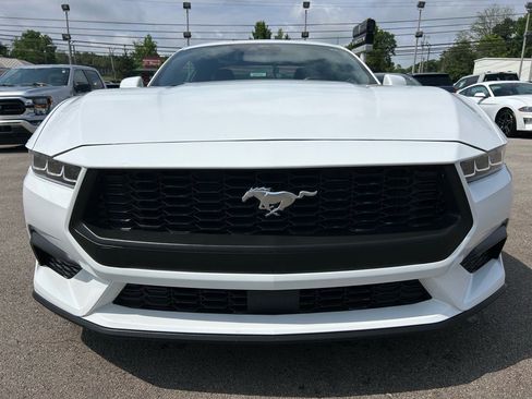 Used 2024 Ford Mustang Premium image 2