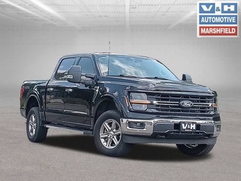 Used 2024 Ford F150 XLT w/ Equipment Group 302A MID AWD/4WD image 1