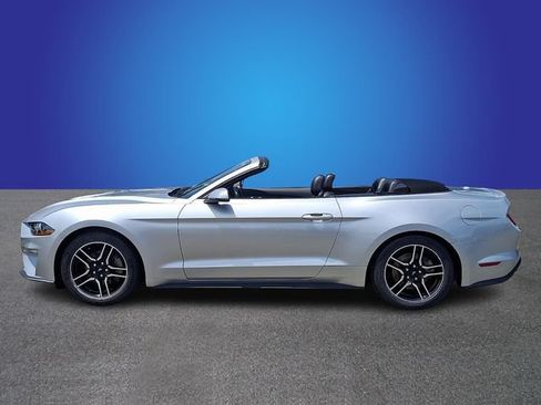Used 2019 Ford Mustang Premium RWD image 7