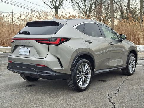 Certified 2025 Lexus NX 350 AWD w/ Premium Package image 6