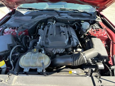 Used 2017 Ford Mustang Premium RWD image 14