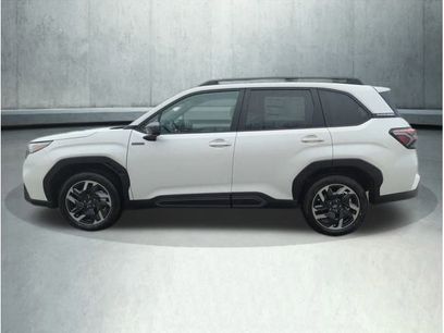 New 2025 Subaru Forester Limited