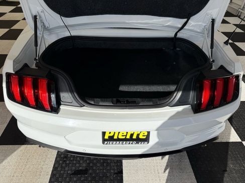 Used 2019 Ford Mustang Premium image 4