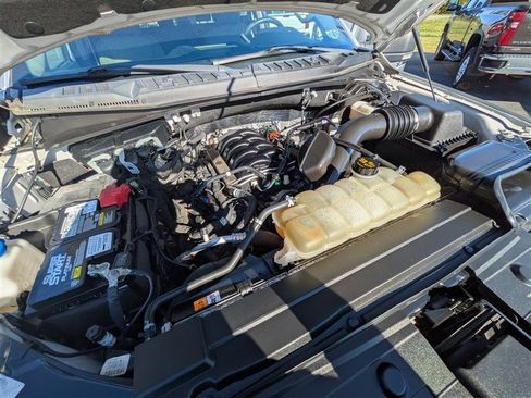 Used 2019 Ford F150 XLT w/ Equipment Group 302A Luxury image 15