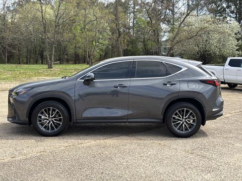 Used 2025 Lexus NX 350h AWD w/ Accessory Package (2T) image 6