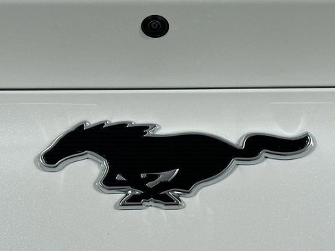 New 2025 Ford Mustang Mach-E Premium w/ Interior Protection Package AWD/4WD image 23
