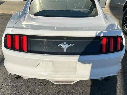 Used 2017 Ford Mustang Coupe image 5