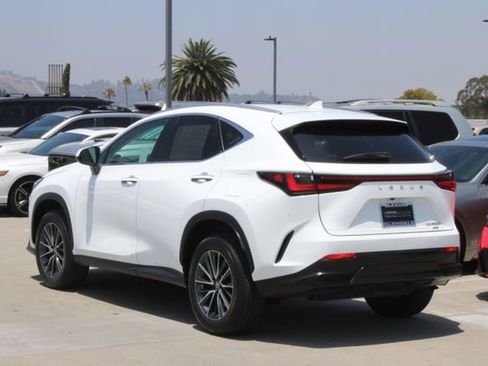 Certified 2026 Lexus NX 350h AWD w/ Cold Area Package image 19
