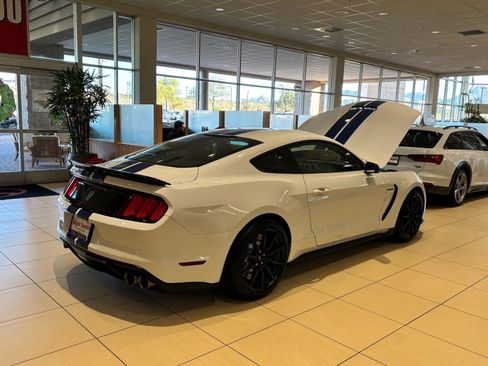 Used 2017 Ford Mustang Shelby GT350 image 5