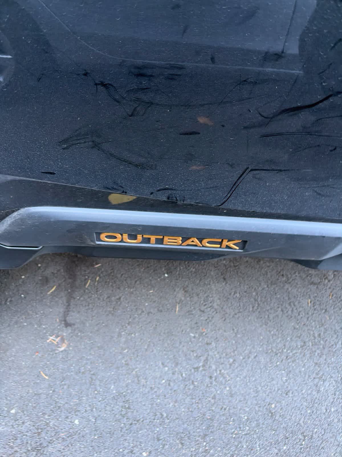 Used 2024 Subaru Outback Wilderness AWD/4WD image 3