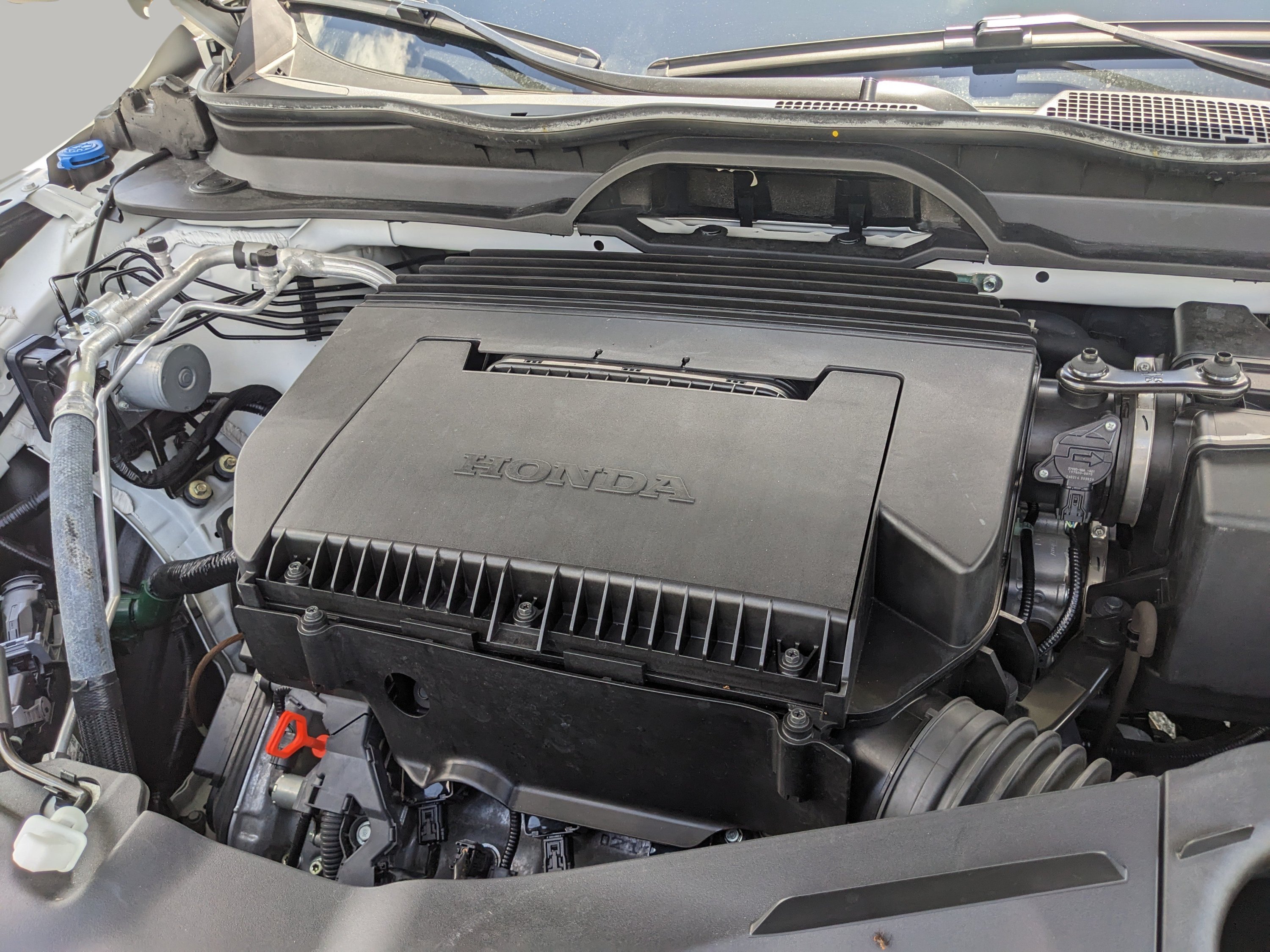 Used 2025 Honda Pilot Black Edition image 10