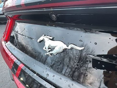 Used 2022 Ford Mustang Premium w/ Equipment Group 201A image 33