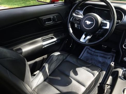 Used 2019 Ford Mustang Premium w/ Equipment Group 201A RWD image 2