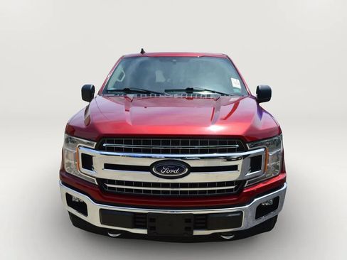 Used 2019 Ford F150 XLT w/ Equipment Group 302A Luxury AWD/4WD image 2