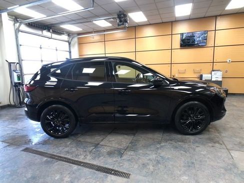 Used 2025 Ford Escape ST-Line Elite w/ Premium Technology Package image 8