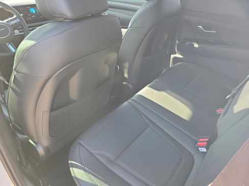 New 2025 Hyundai Santa Cruz Limited image 6