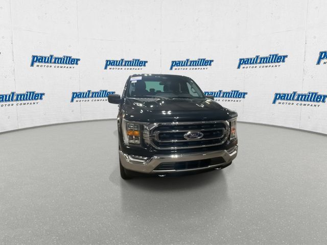 Used 2021 Ford F150 XLT w/ Equipment Group 302A High AWD/4WD image 4