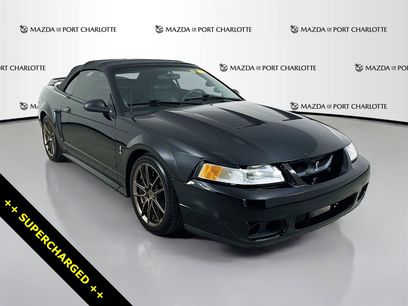 Used 1999 Ford Mustang Cobra