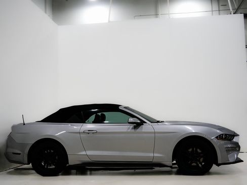 Used 2019 Ford Mustang Premium image 6
