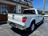 Used 2013 Ford F150 XLT w/ Luxury Equipment Group image 3