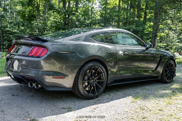Used 2015 Ford Mustang Shelby GT350 RWD image 8