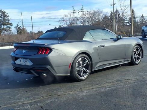 Certified 2025 Ford Mustang Premium image 6