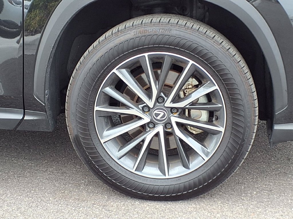 Used 2025 Lexus NX 250 FWD w/ Cold Area Package image 12