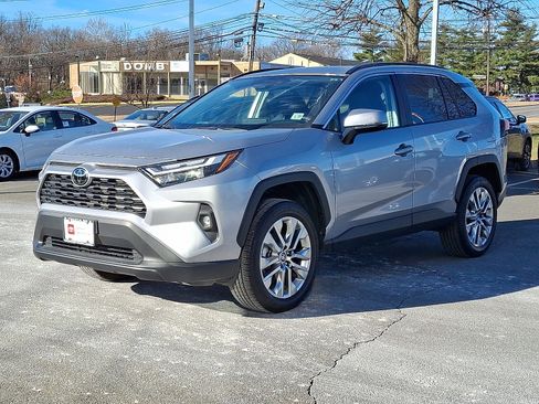 Certified 2025 Toyota RAV4 XLE Premium image 3