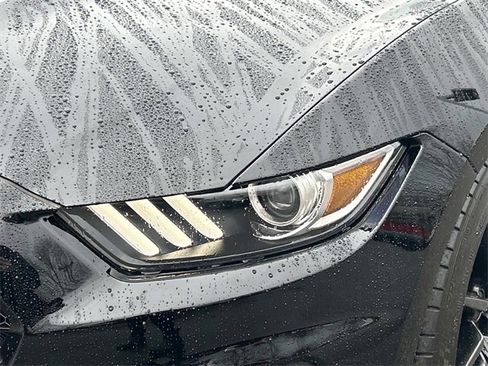 Used 2017 Ford Mustang Shelby GT350 image 9