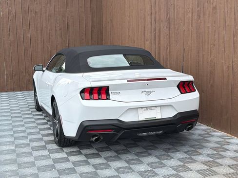 Used 2025 Ford Mustang Premium RWD image 17