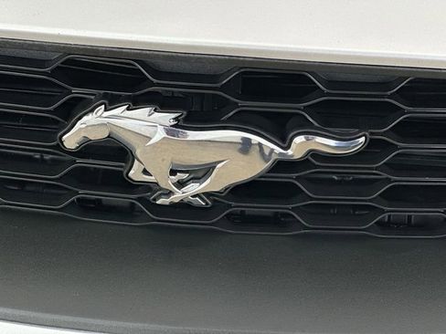 Used 2019 Ford Mustang Premium RWD image 22